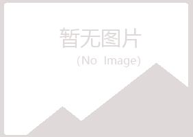 铁岭县倾城化学有限公司